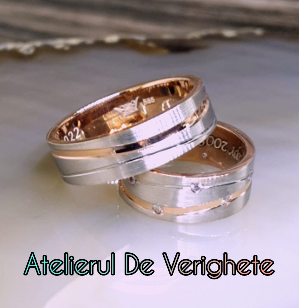 Portofoliu 477127149 1197103552422913 8887291884012866815 n